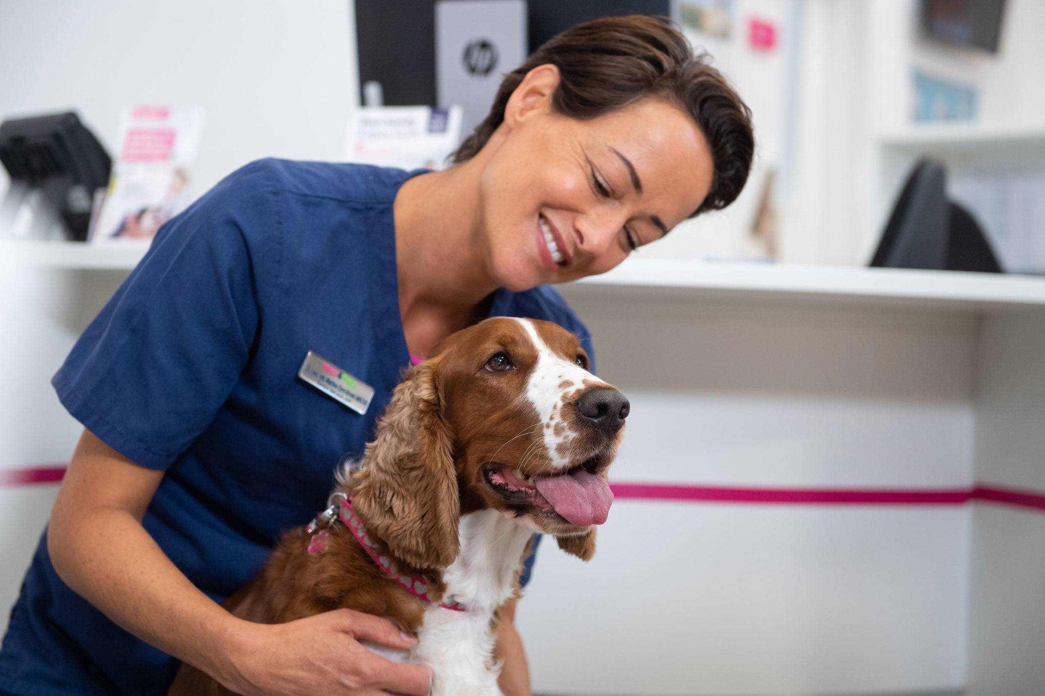 pet-health-plans-vets4pets