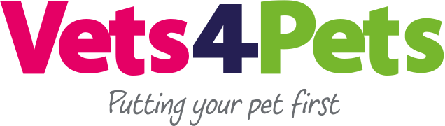 vets for pets kingston park phone number