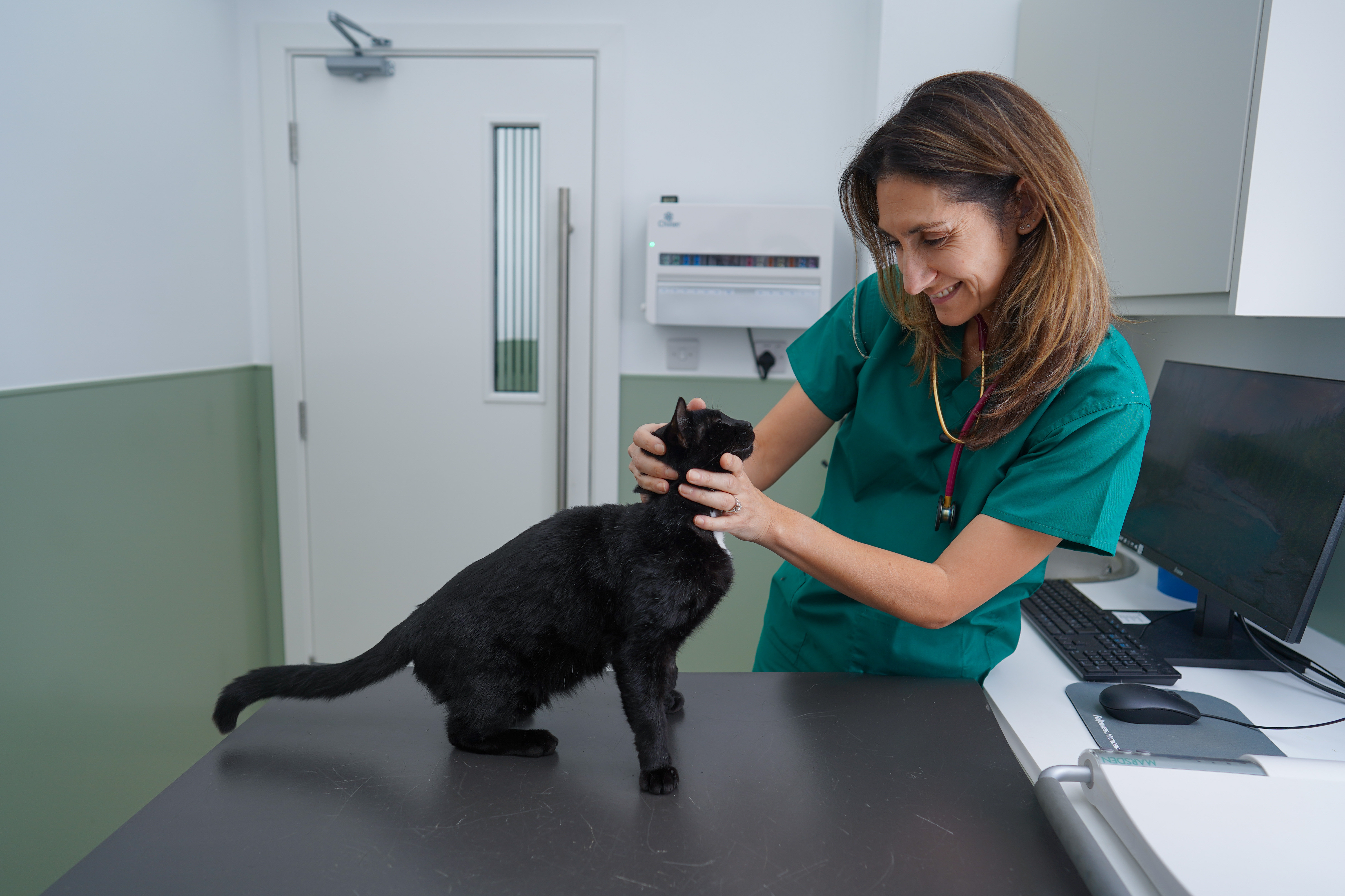 Opening times for store vets for pets