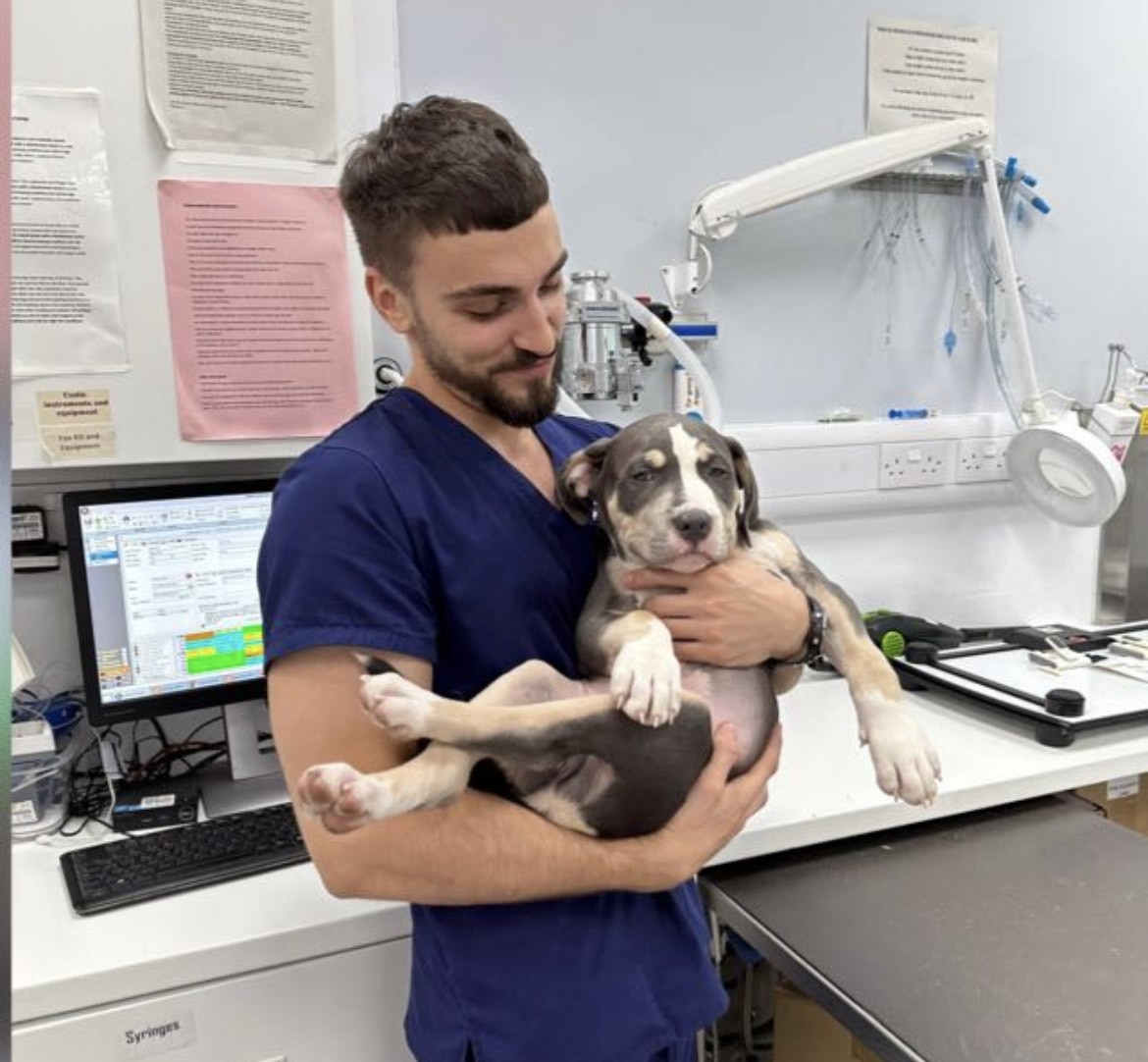 Vets for 2024 pets rooksley