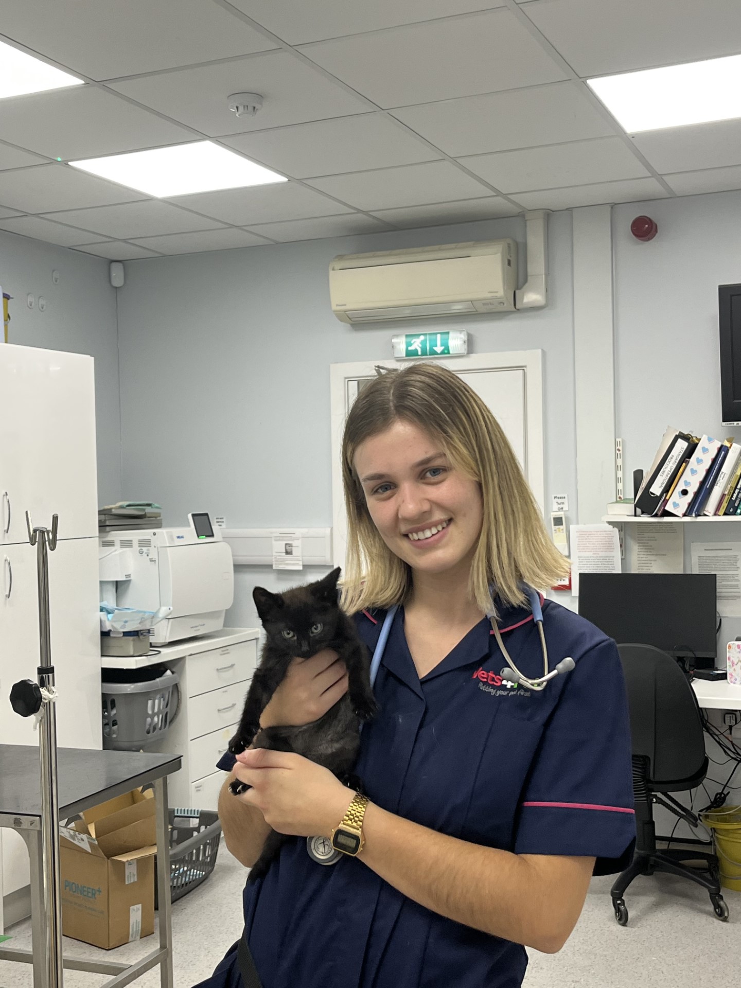 Rooksley vets discount for pets