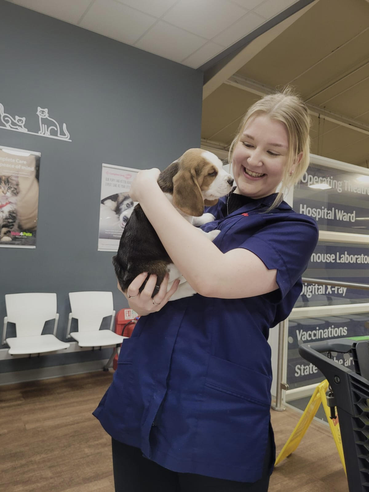 Rooksley vets discount for pets