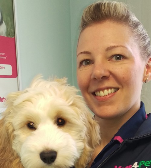 Vets in Stafford | Practices in Staffordshire | Vets4Pets