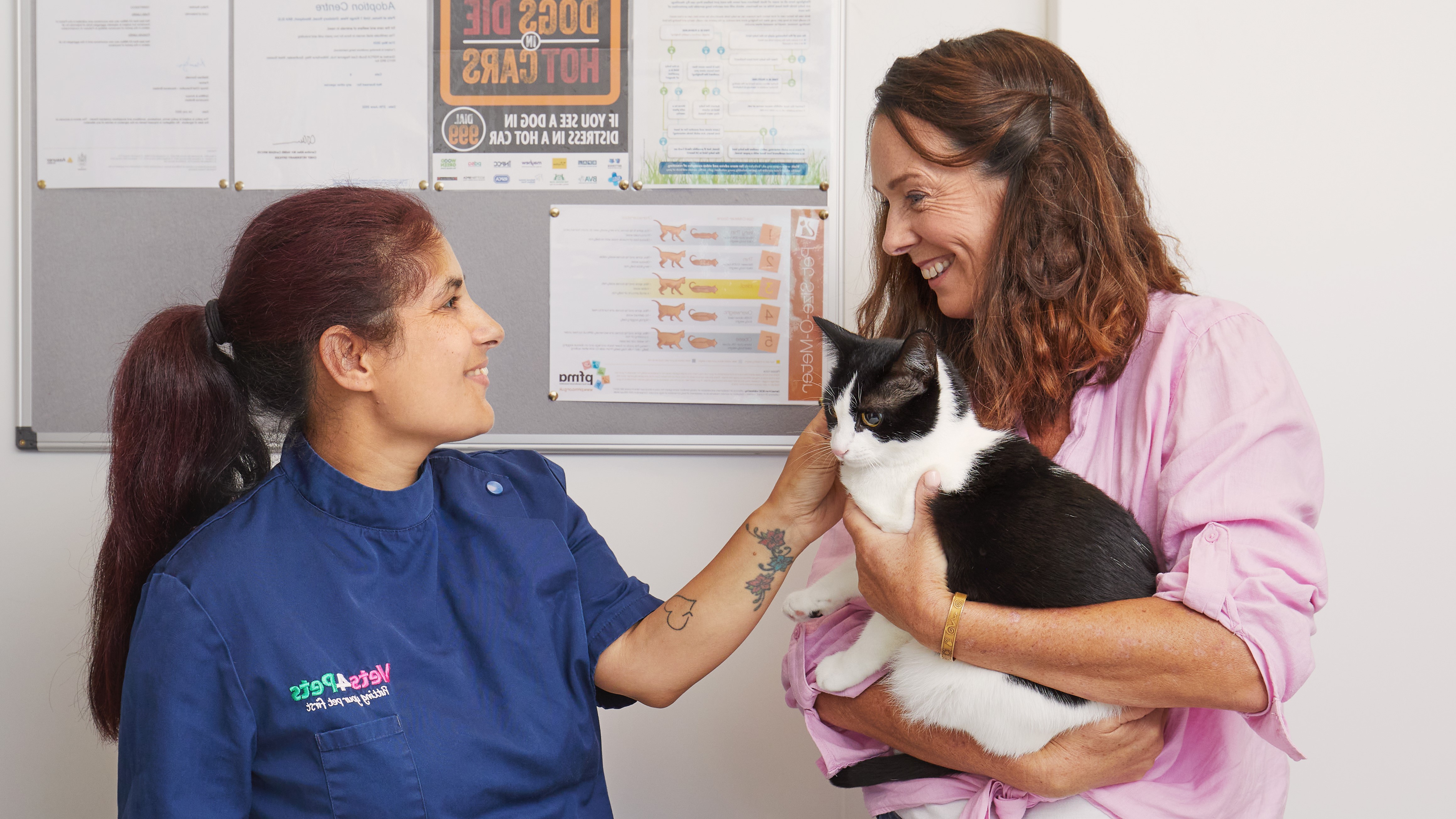 Pets at home out of 2024 hours vets