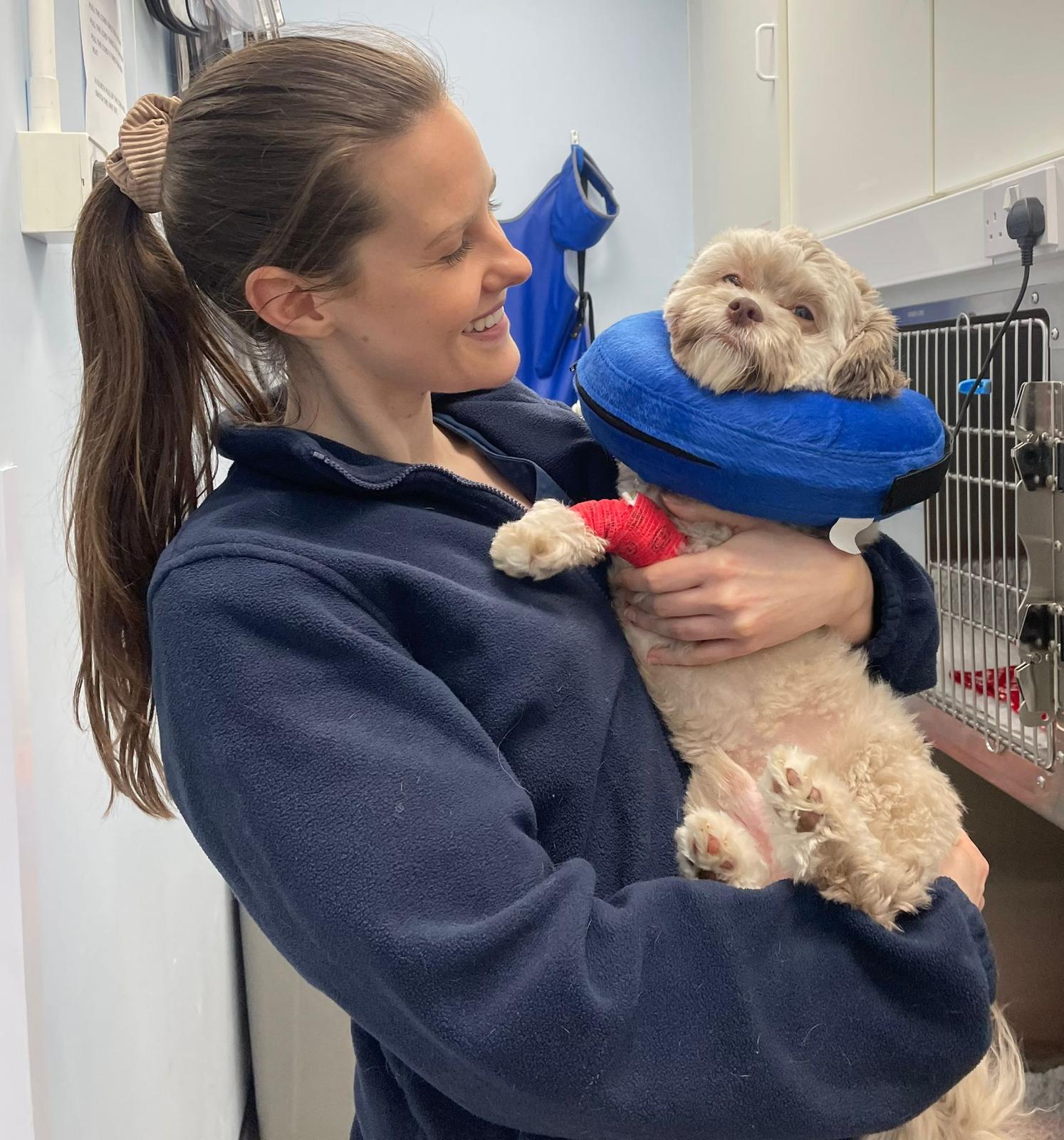 Abbi Webber Vet Surgeon