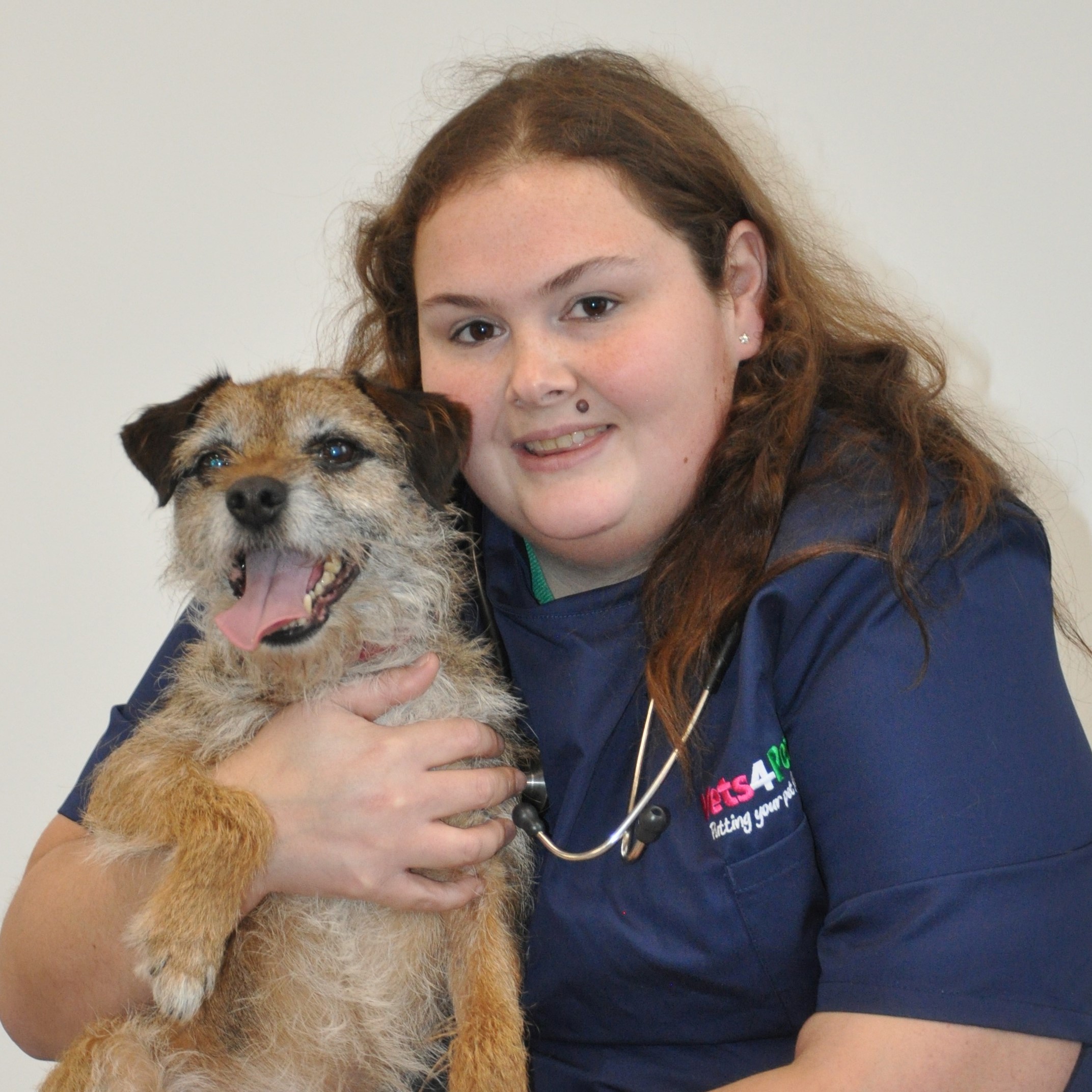 Vets in Bagshot Open on weekends Vets4Pets