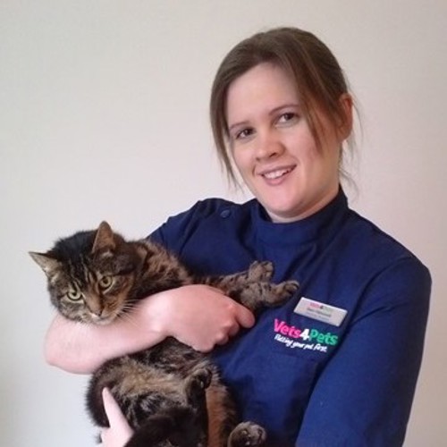 Vets in Worksop | Vets4Pets