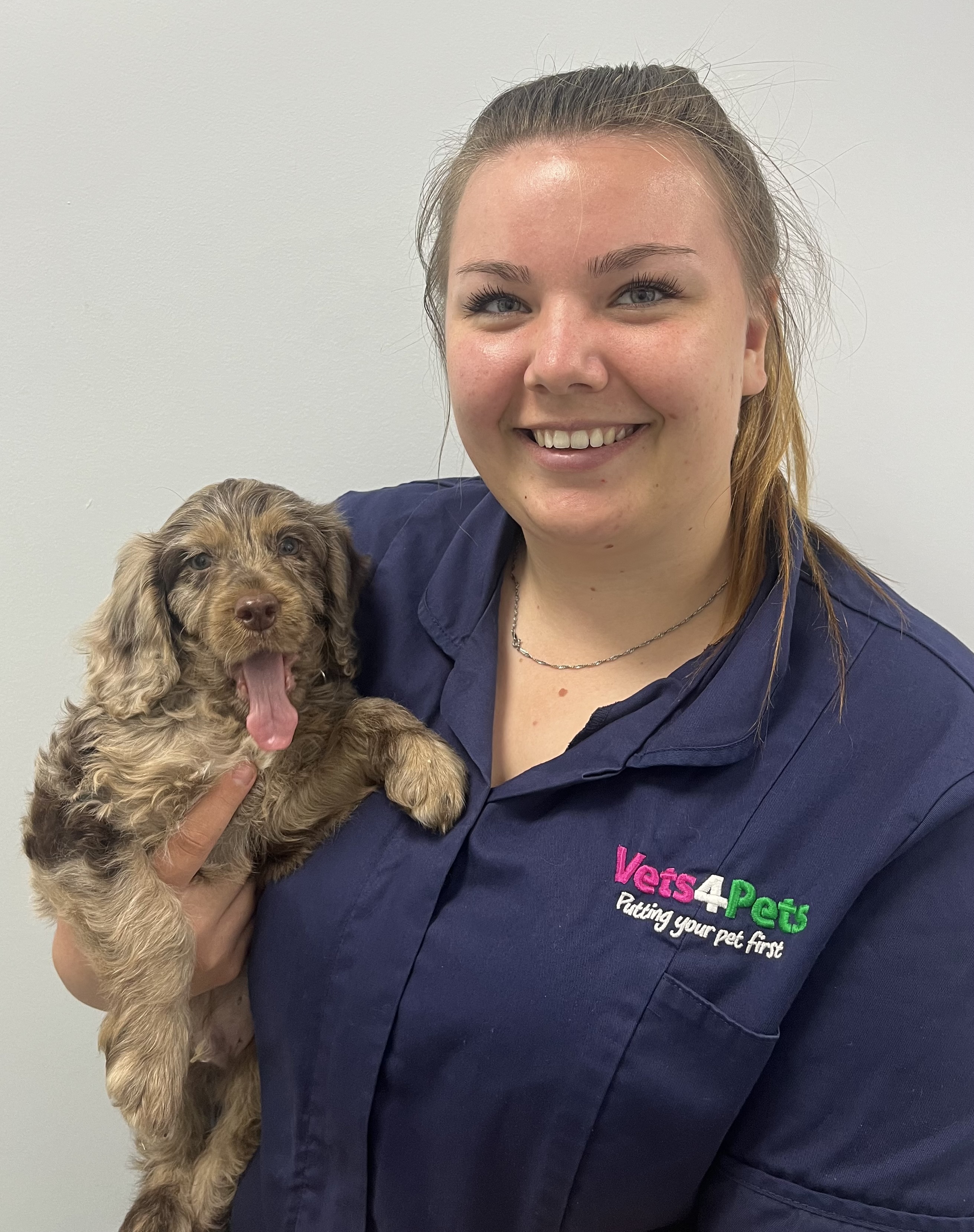 Dog neutering store cost vets4pets 2019