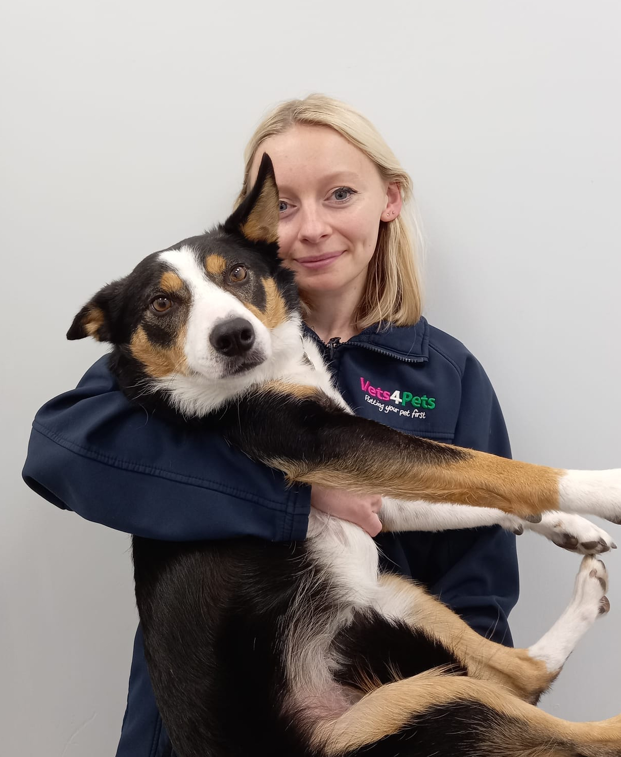 Dog neutering best sale cost vets4pets 2019