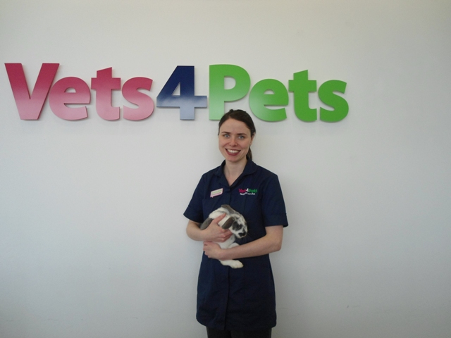 Christine Nibloe Veterinary Surgeon Vets4Pets Ayr (4)