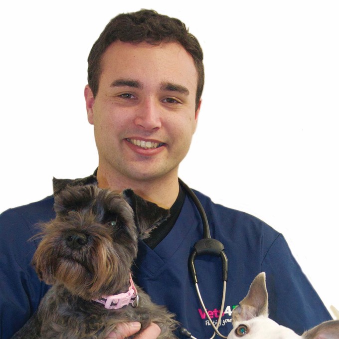 Vets in Dover Whitfield | Open on weekends | Vets for Pets