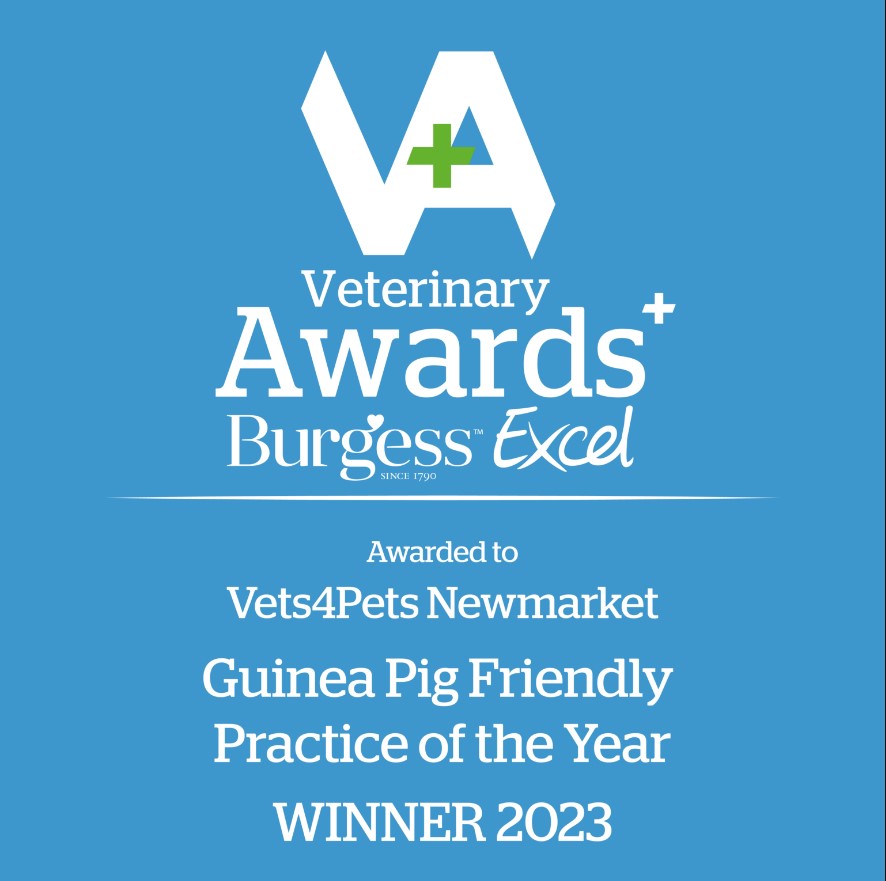 Guinea Pig awards 