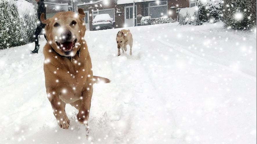 sandy snow screengrab