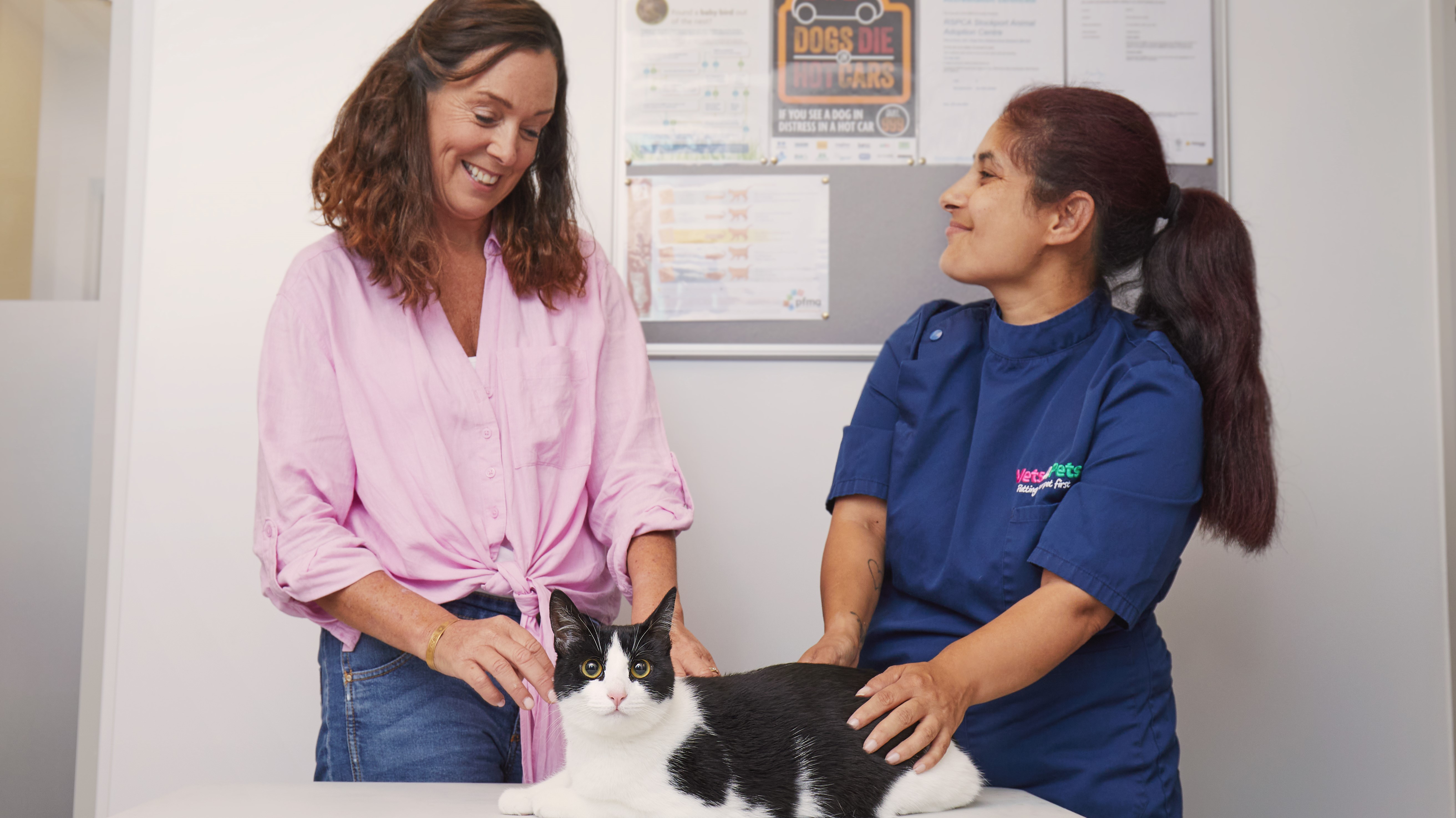 Vets for best sale pets vaccination prices