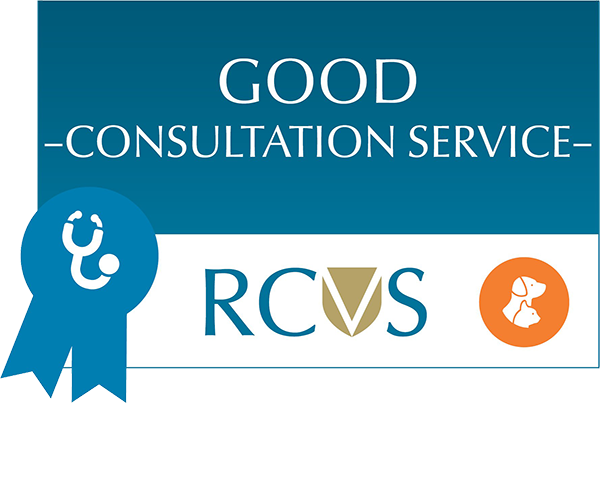 GOOD CONSULTATION SERVICE SMALL