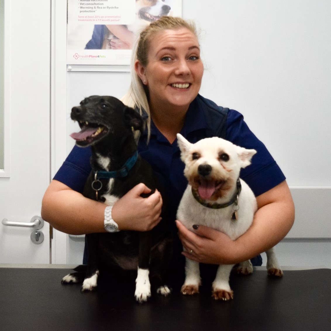 Vets for cheap pets chilwell