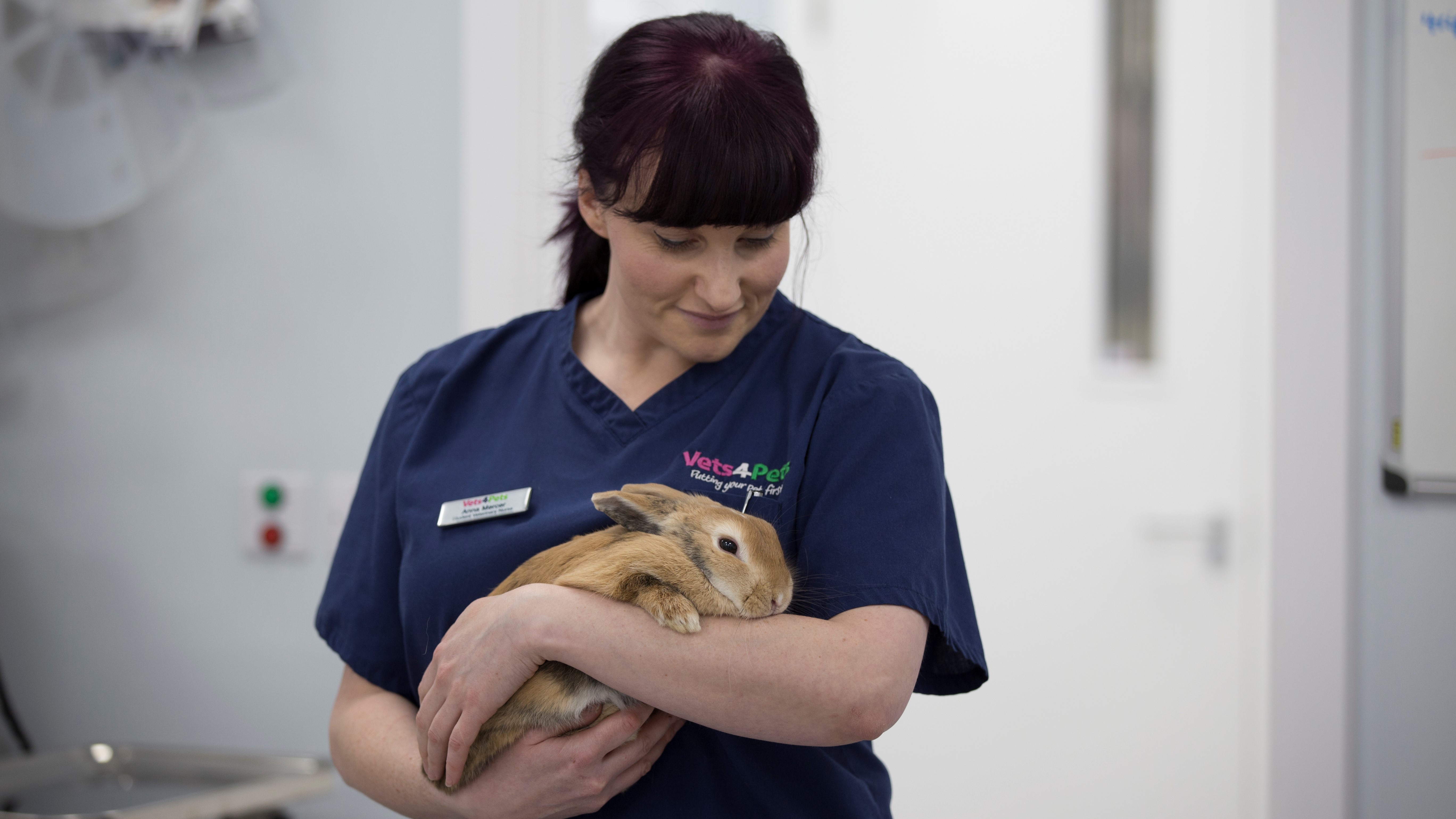 Bunny veterinarian near store me