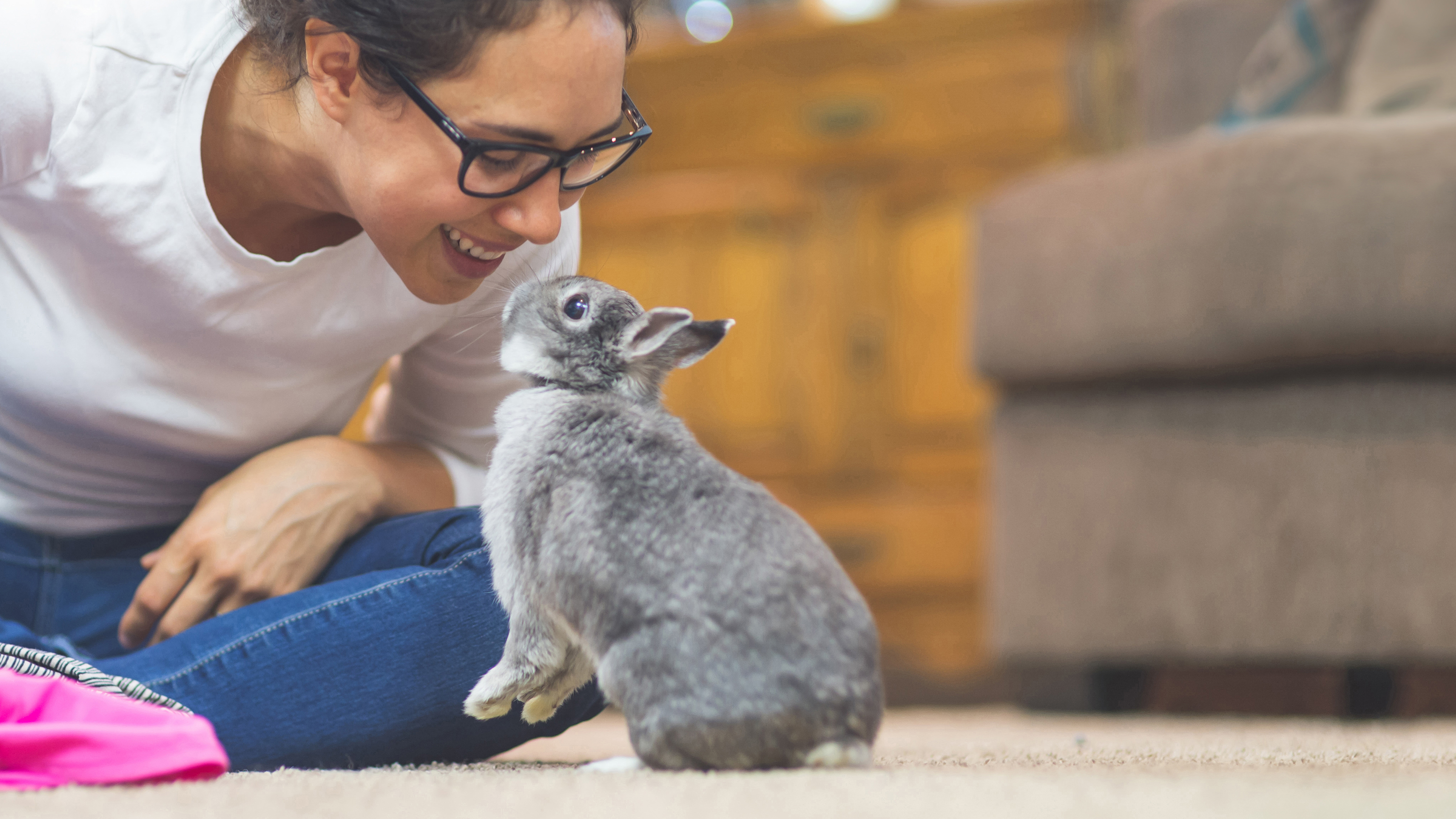 rabbit with girl inside house